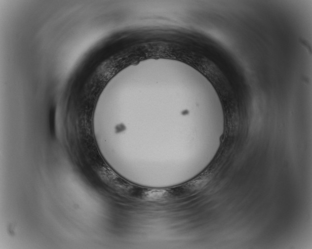 X0000103400189200809261628