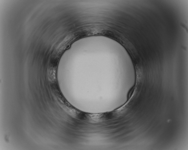 X0000103400191200809261628