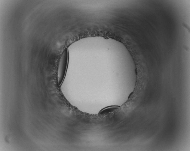 X0000103400192200809261628