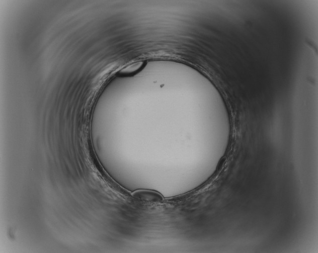 X0000103400193200809261628