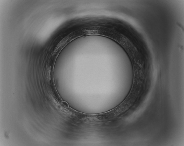 X0000103400194200809261628