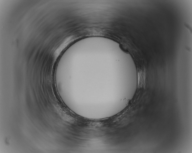 X0000103400195200809261628