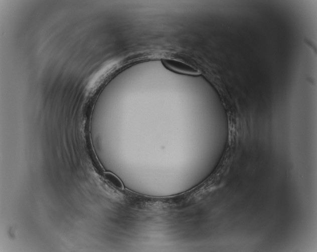 X0000103400197200809261628