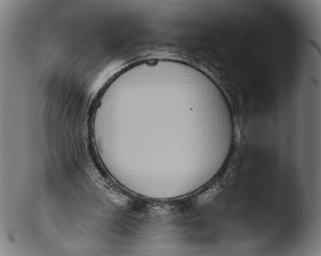 X0000103400199200809261627