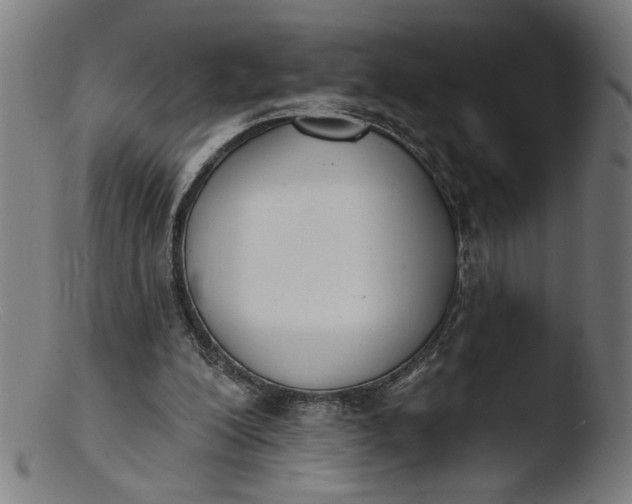 X0000103400200200809261627