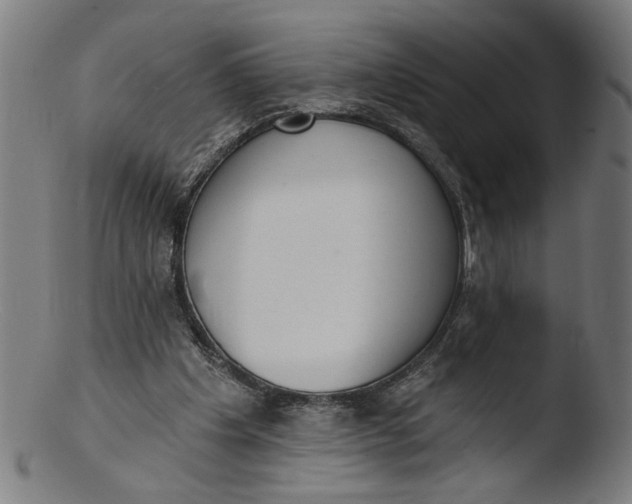 X0000103400201200809261627