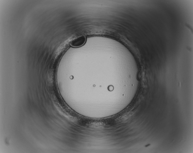 X0000103400203200809261627