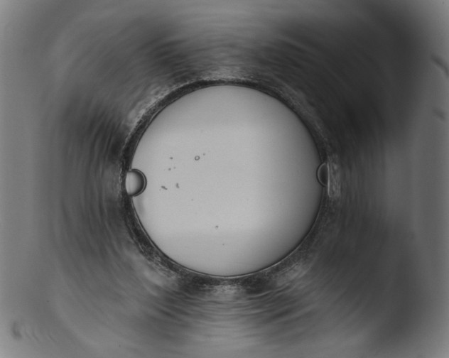 X0000103400204200809261627