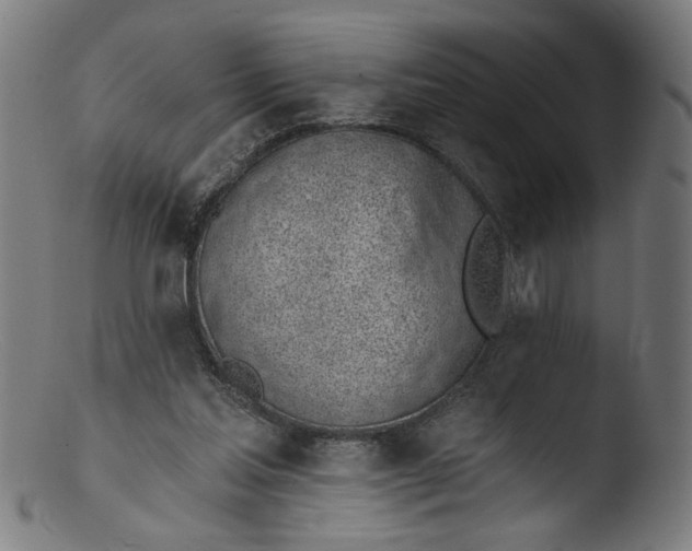 X0000103400205200809261627