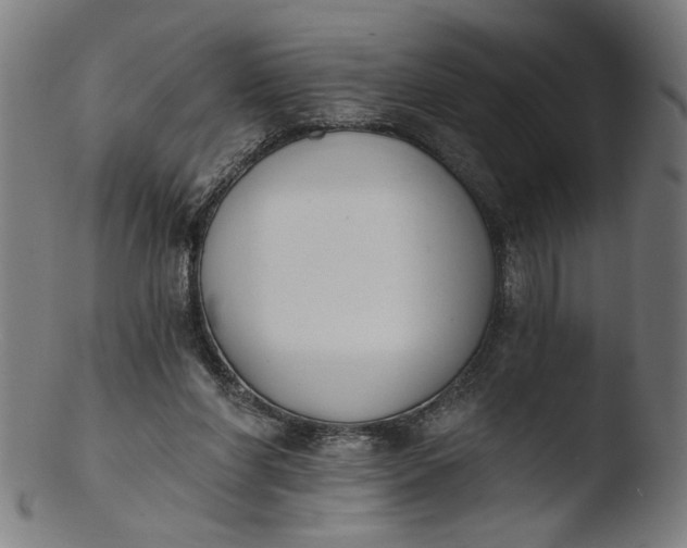 X0000103400206200809261627