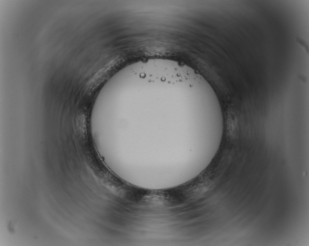 X0000103400211200809261627