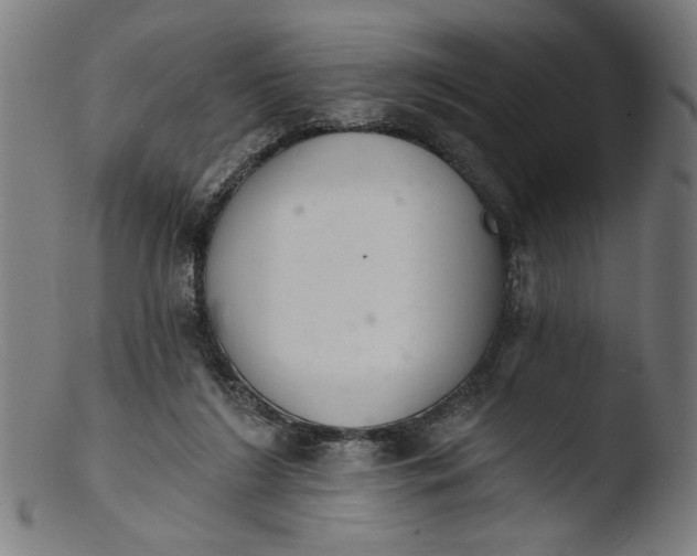 X0000103400212200809261627