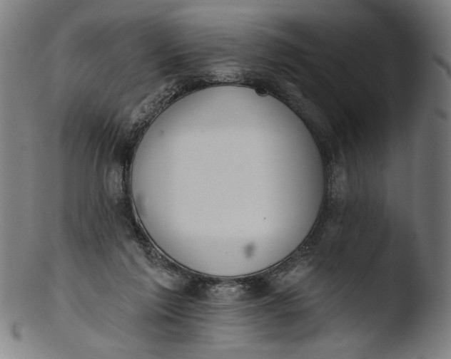 X0000103400213200809261627