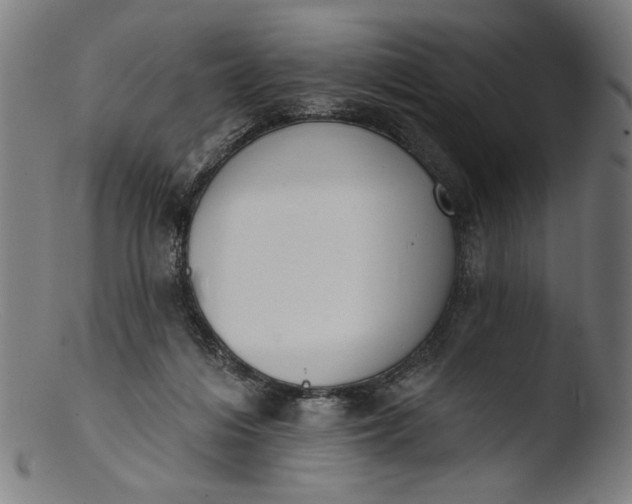 X0000103400216200809261627