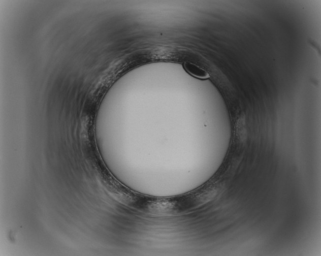 X0000103400217200809261627