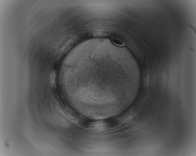 X0000103400219200809261627