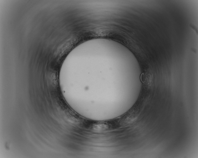 X0000103400220200809261627