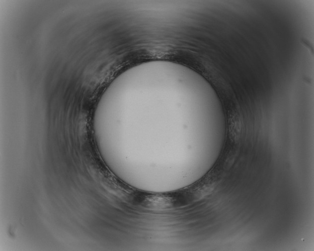 X0000103400221200809261627