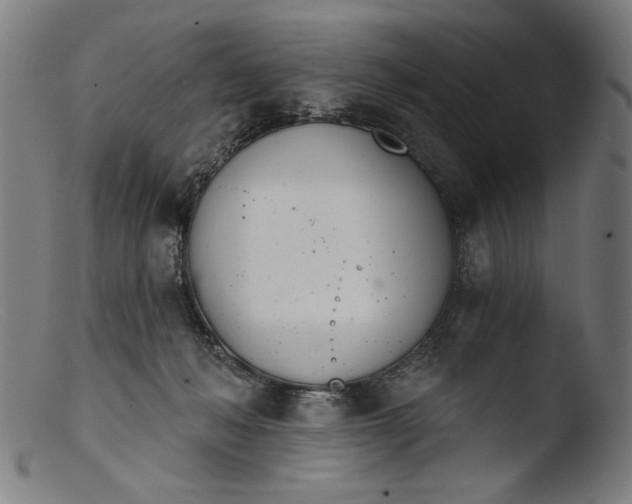 X0000103400222200809261627