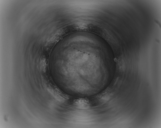 X0000103400223200809261627