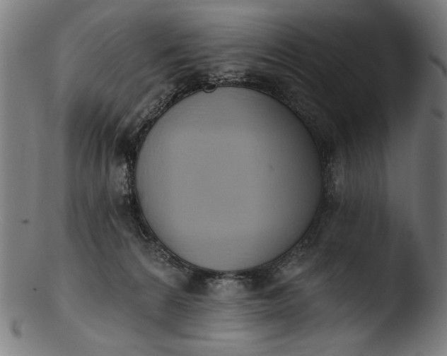 X0000103400224200809261627