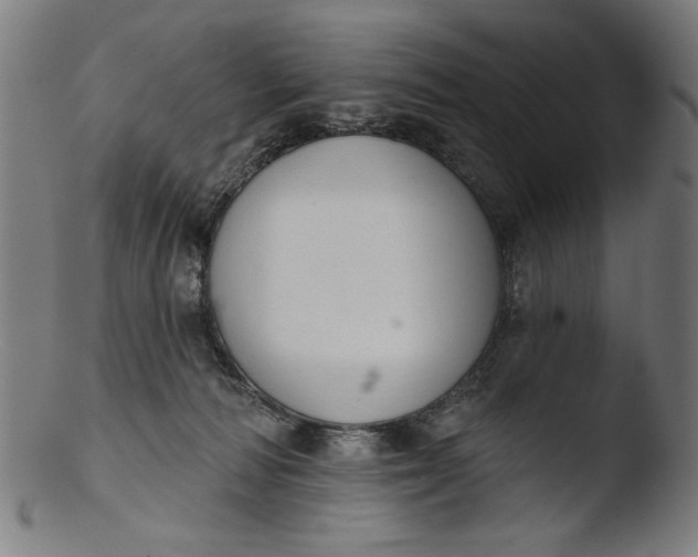 X0000103400226200809261627