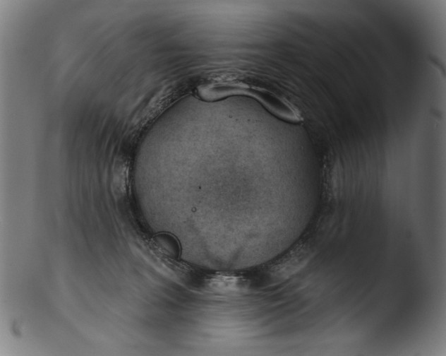 X0000103400227200809261627