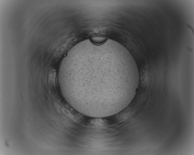 X0000103400231200809261627