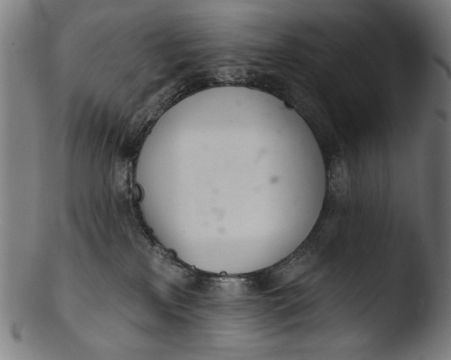 X0000103400233200809261627