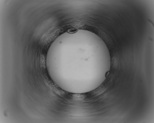 X0000103400234200809261627