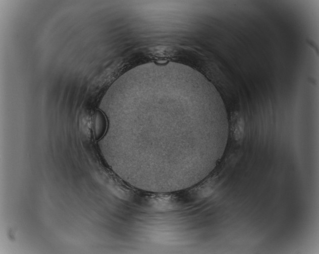 X0000103400235200809261627