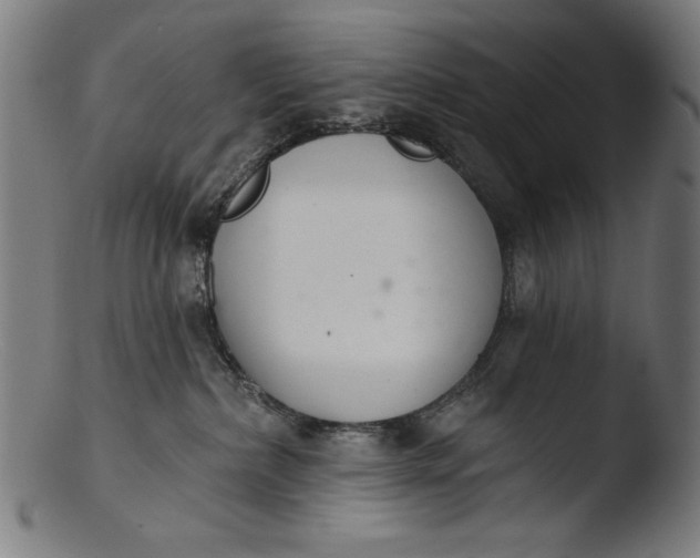 X0000103400236200809261627