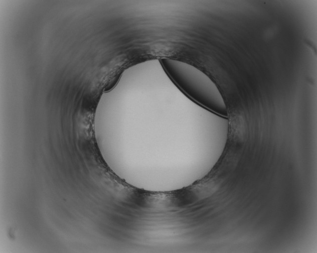 X0000103400237200809261627