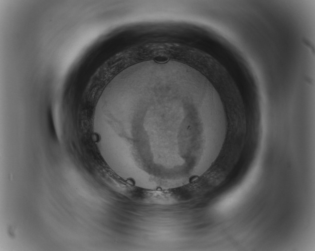 X0000103400239200809261627