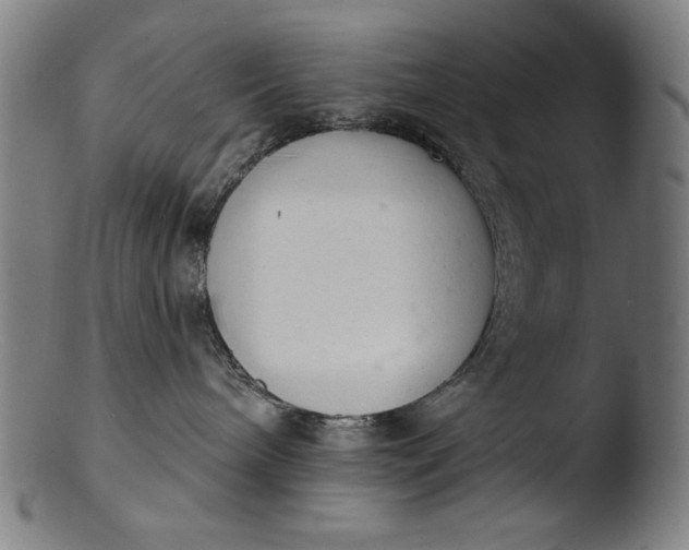 X0000103400240200809261627