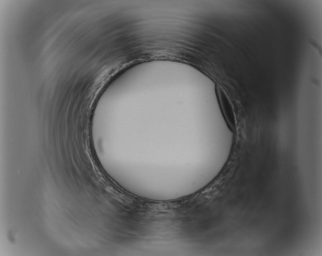 X0000103400241200809261626