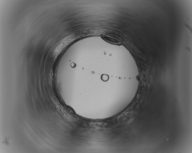 X0000103400242200809261626