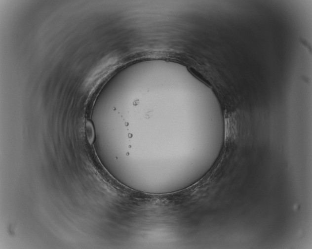 X0000103400243200809261626