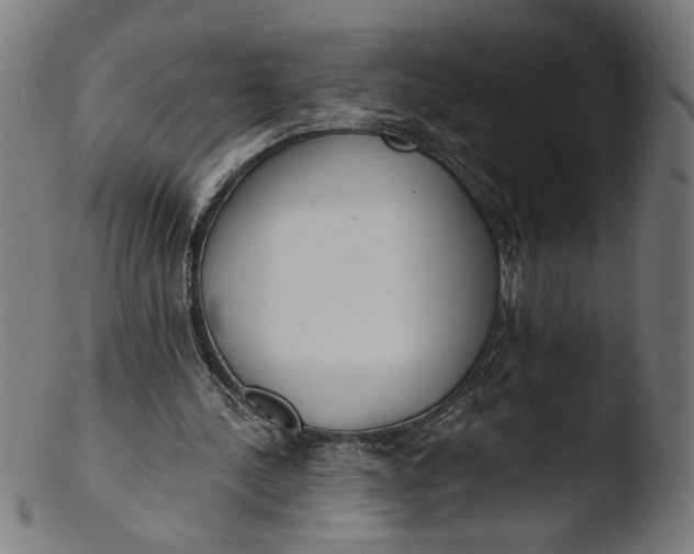 X0000103400244200809261626