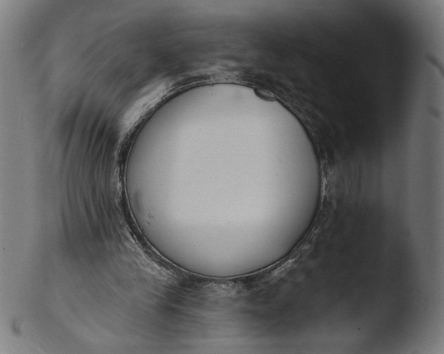 X0000103400245200809261626