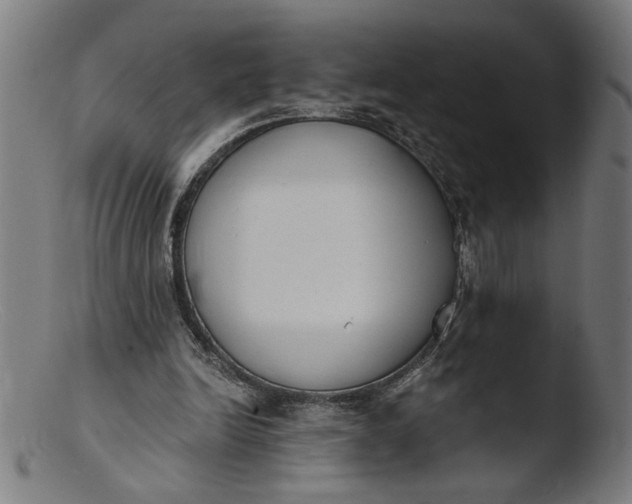 X0000103400246200809261626