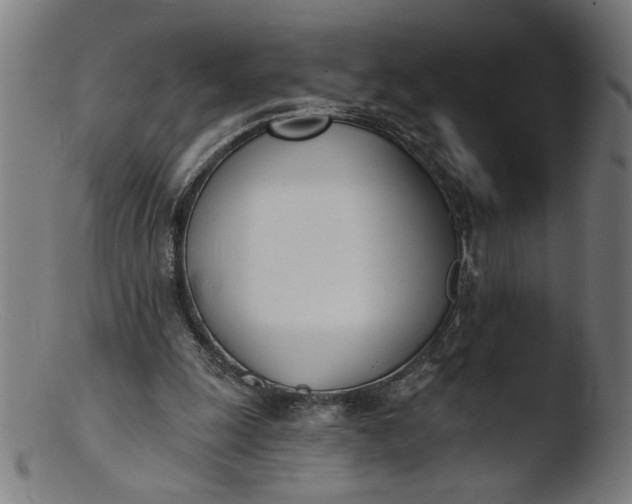 X0000103400247200809261626