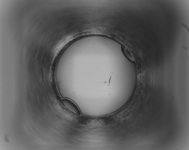 X0000103400248200809261626