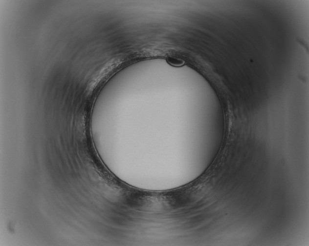 X0000103400250200809261626