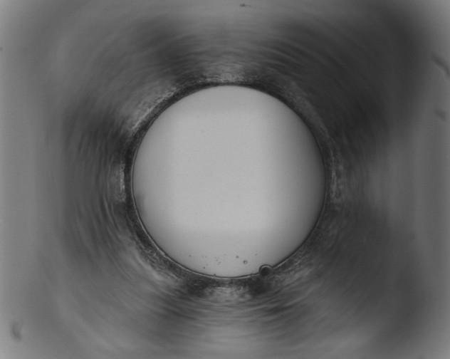 X0000103400251200809261626