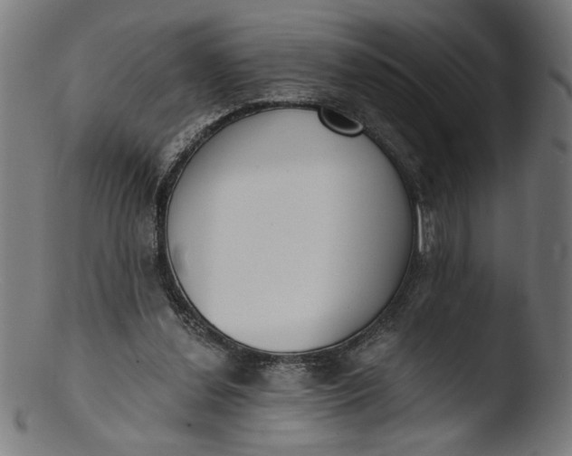 X0000103400252200809261626