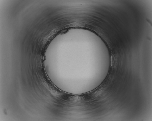 X0000103400253200809261626