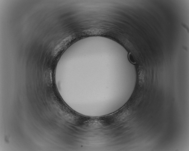 X0000103400254200809261626