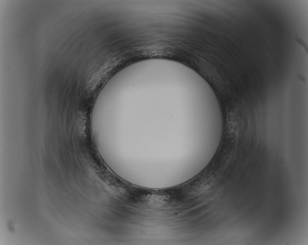 X0000103400255200809261626