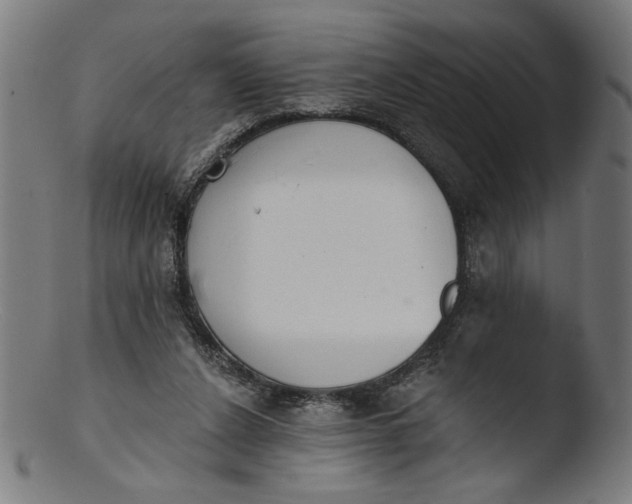 X0000103400256200809261626